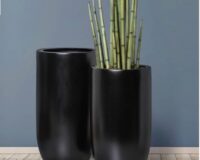 VASO ASIA GIGANTE
