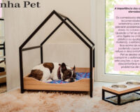 CASA LUXO PARA PET - PEQUENA